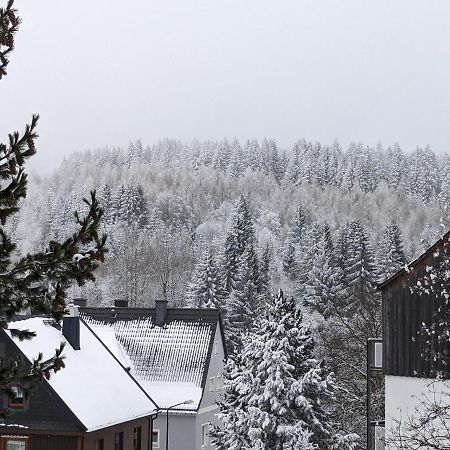 Ferienwohnungen Zauberberg, Schneehase & Glitzerhirsch 오베르비젠탈 외부 사진