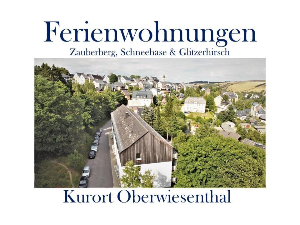 Ferienwohnungen Zauberberg, Schneehase & Glitzerhirsch 오베르비젠탈 외부 사진